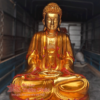 Tượng Phật a di dà dát vàng